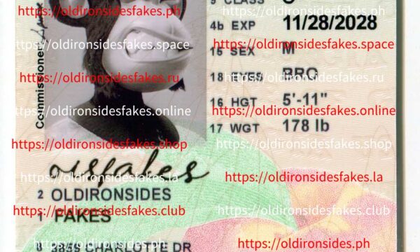 Georgia Driver License(New GA U21)