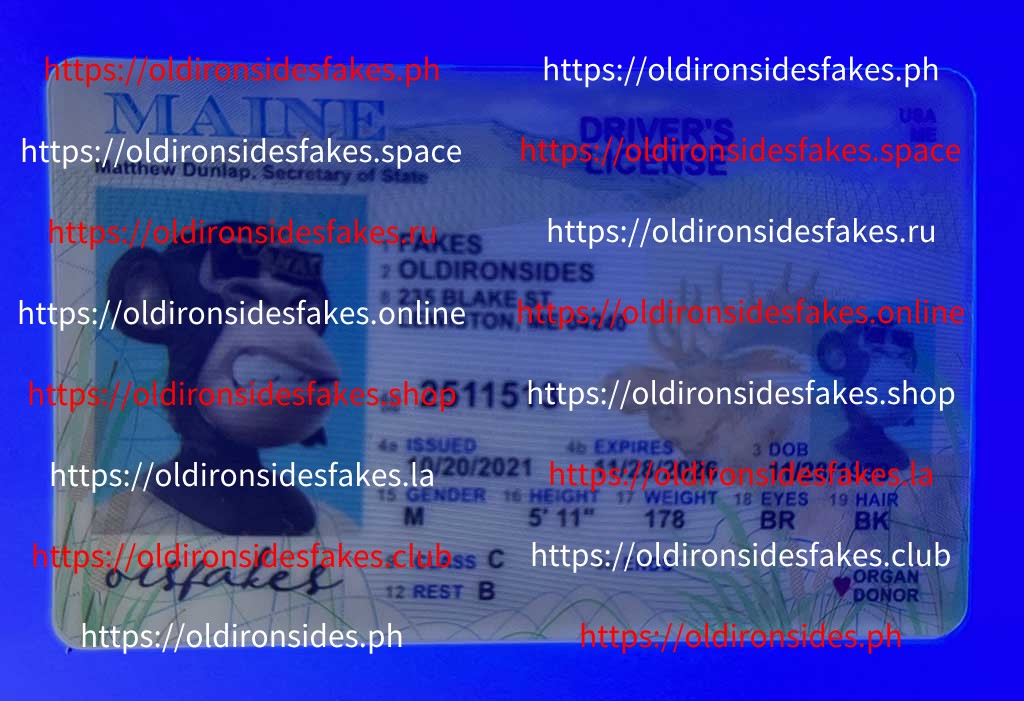 Maine Driver License(Old ME) - Image 3