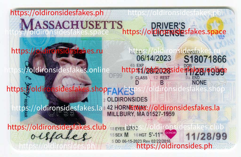 Massachusetts Driver License(New MA O21)