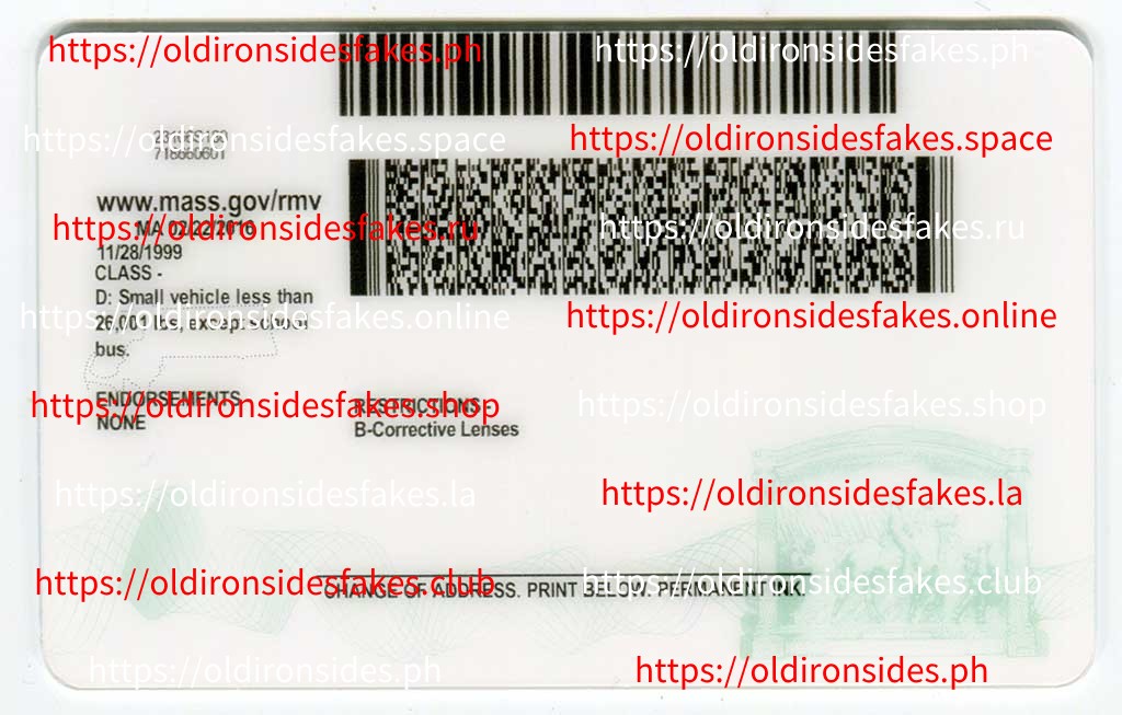 Massachusetts Driver License(New MA O21) - Image 2
